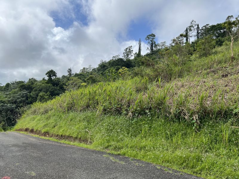 Pr-152r Km 0.2 Int Bo Helechal Barranquitas 00794 PR