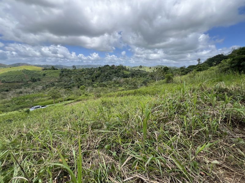 Pr-152r Km 0.2 Int Bo Helechal Barranquitas 00794 PR