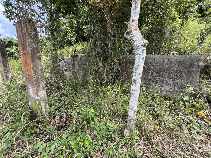 Pr-152r Km 0.2 Int Bo Helechal Barranquitas 00794 PR