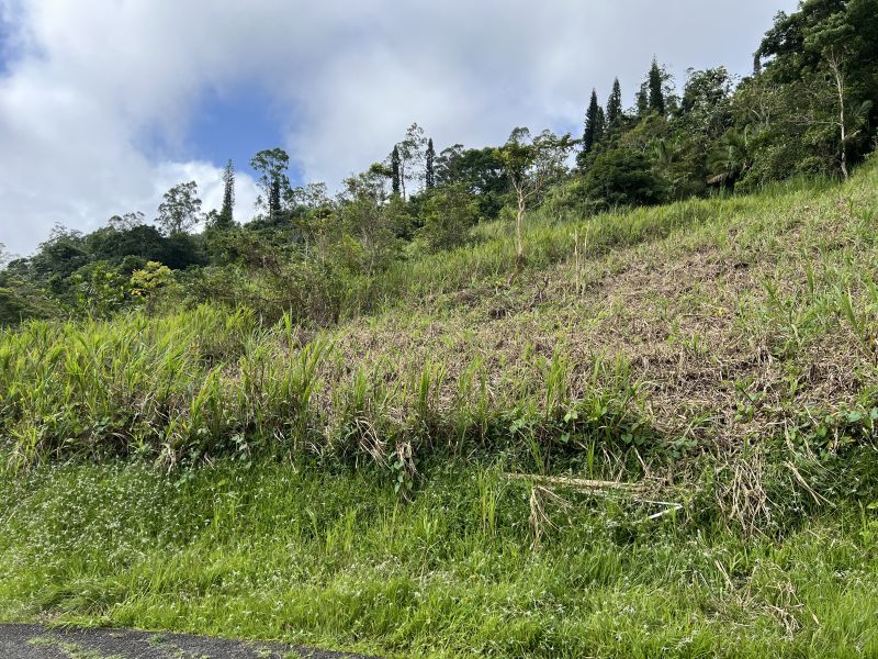 Pr-152r Km 0.2 Int Bo Helechal Barranquitas 00794 PR