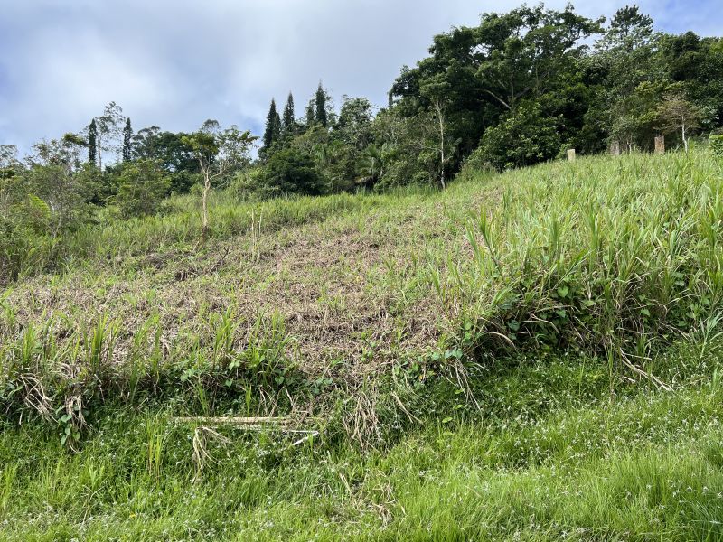 Pr-152r Km 0.2 Int Bo Helechal Barranquitas 00794 PR