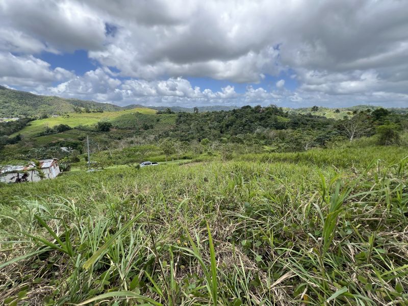 Pr-152r Km 0.2 Int Bo Helechal Barranquitas 00794 PR