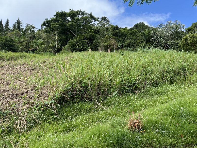 Pr-152r Km 0.2 Int Bo Helechal Barranquitas 00794 PR
