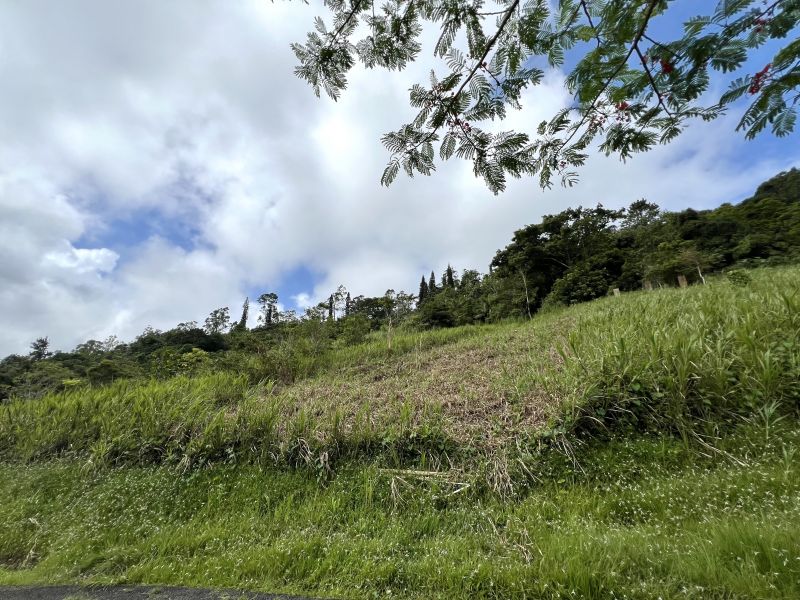 Pr-152r Km 0.2 Int Bo Helechal Barranquitas 00794 PR