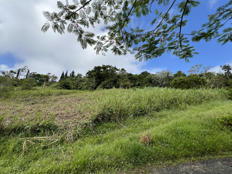 Pr-152r Km 0.2 Int Bo Helechal Barranquitas 00794 PR