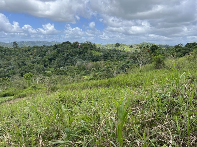 Pr-152r Km 0.2 Int Bo Helechal Barranquitas 00794 PR