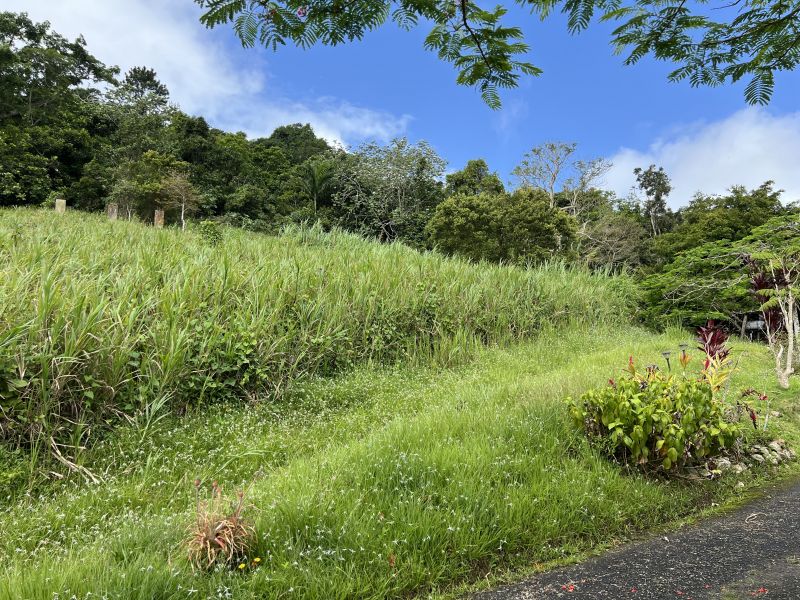 Pr-152r Km 0.2 Int Bo Helechal Barranquitas 00794 PR