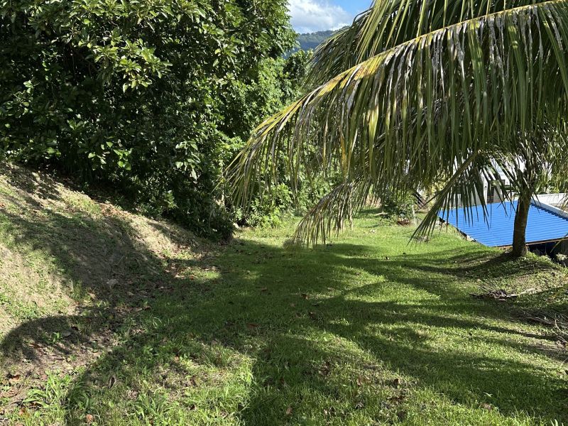 Bo Santa Barbara Carr 189 Km 3.9, Gurabo - 4