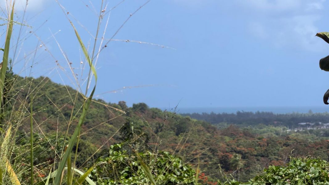 Villas De Luquillo Bo Mata De Platano Carr 991 Luquillo 00773 PR