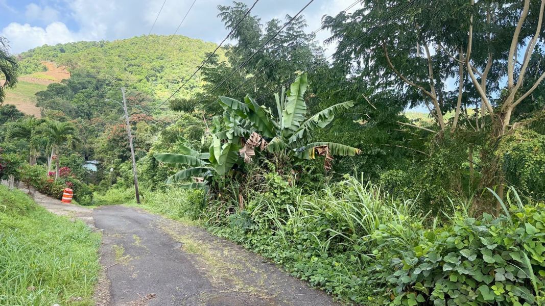 Villas De Luquillo Bo Mata De Platano Carr 991 Luquillo 00773 PR