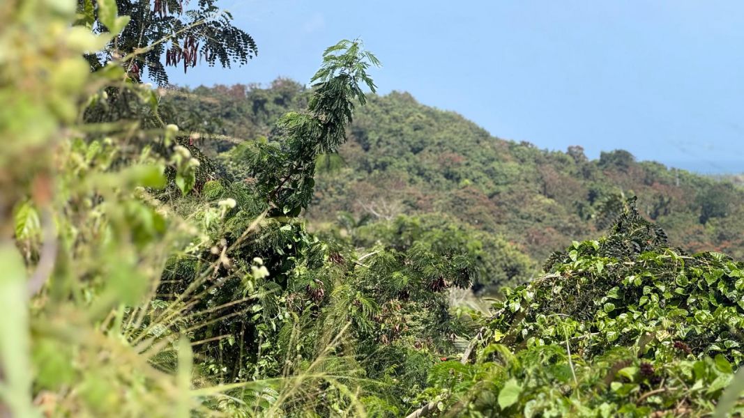 Villas De Luquillo Bo Mata De Platano Carr 991 Luquillo 00773 PR