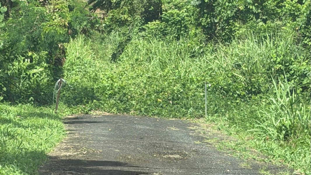 Villas De Luquillo Bo Mata De Platano Carr 991 Luquillo 00773 PR