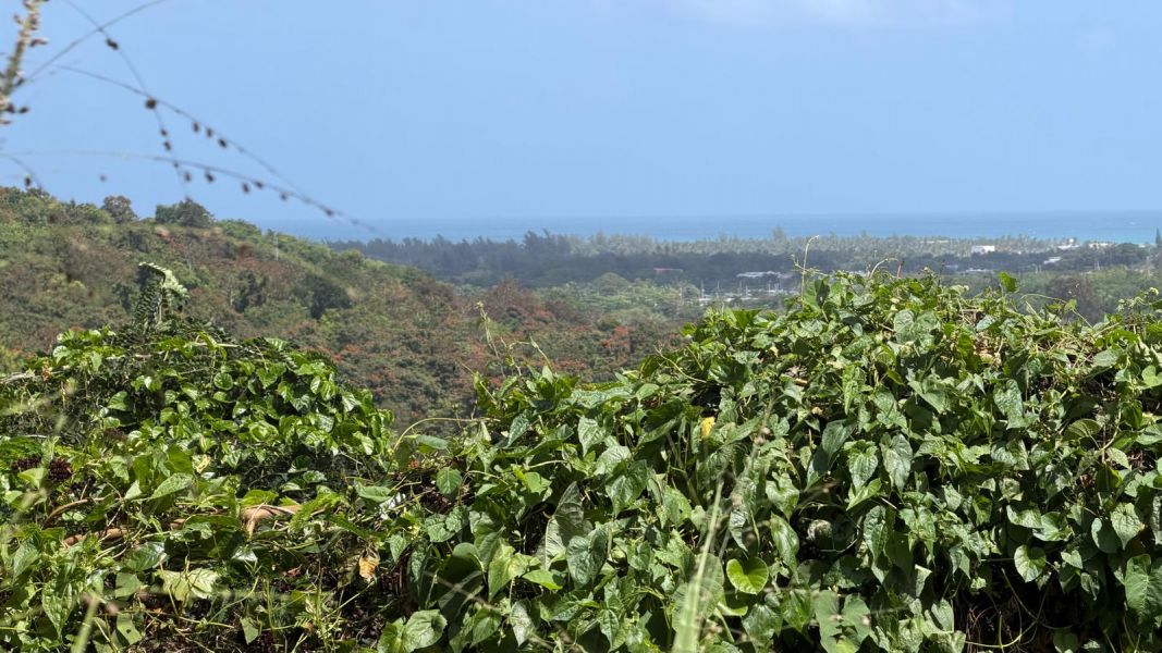 Villas De Luquillo Bo Mata De Platano Carr 991 Luquillo 00773 PR