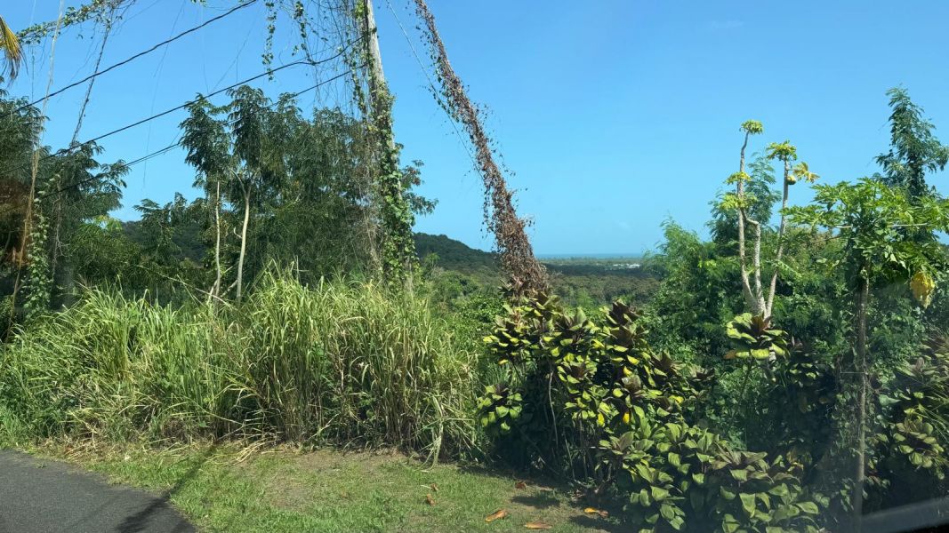 Villas De Luquillo Bo Mata De Platano Carr 991 Luquillo 00773 PR