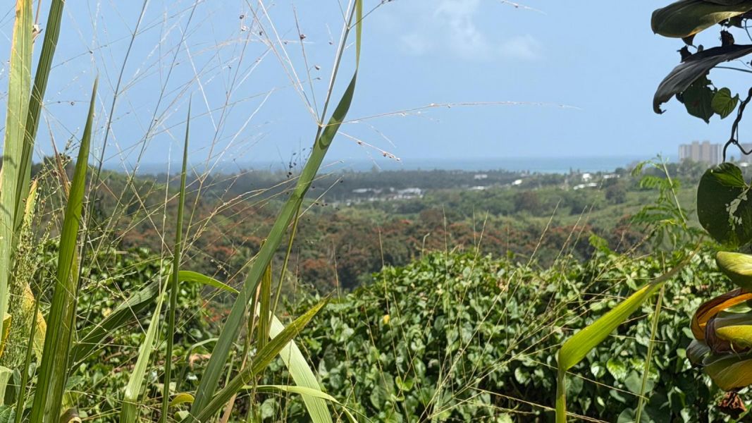 Villas De Luquillo Bo Mata De Platano Carr 991 Luquillo 00773 PR