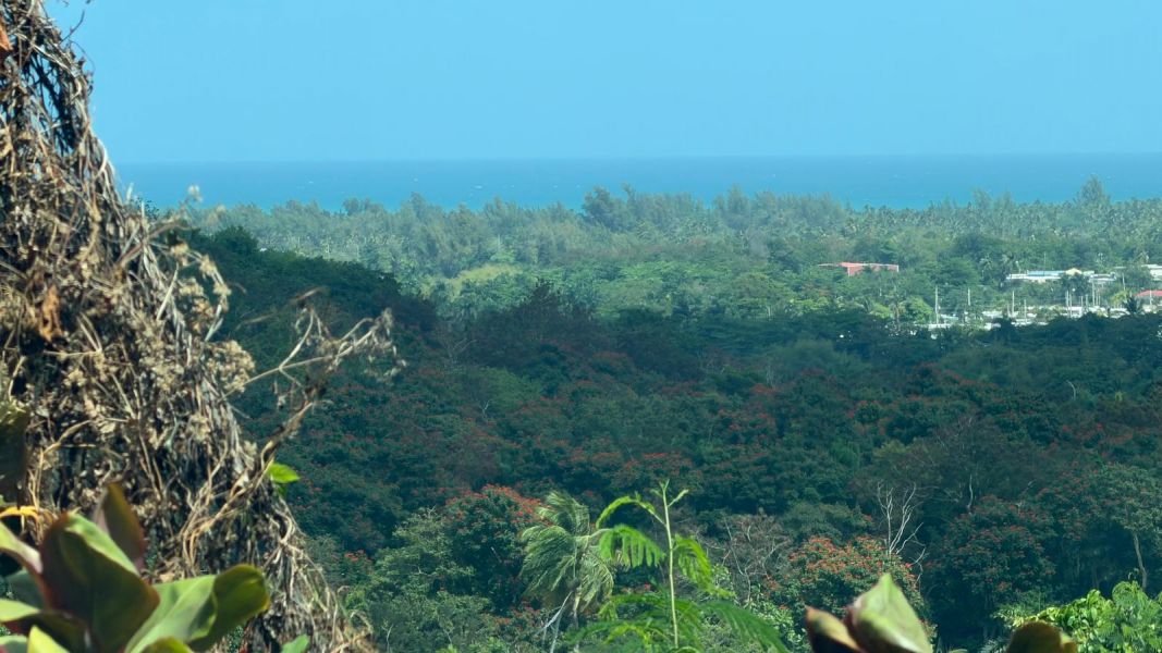 Villas De Luquillo Bo Mata De Platano Carr 991 Luquillo 00773 PR