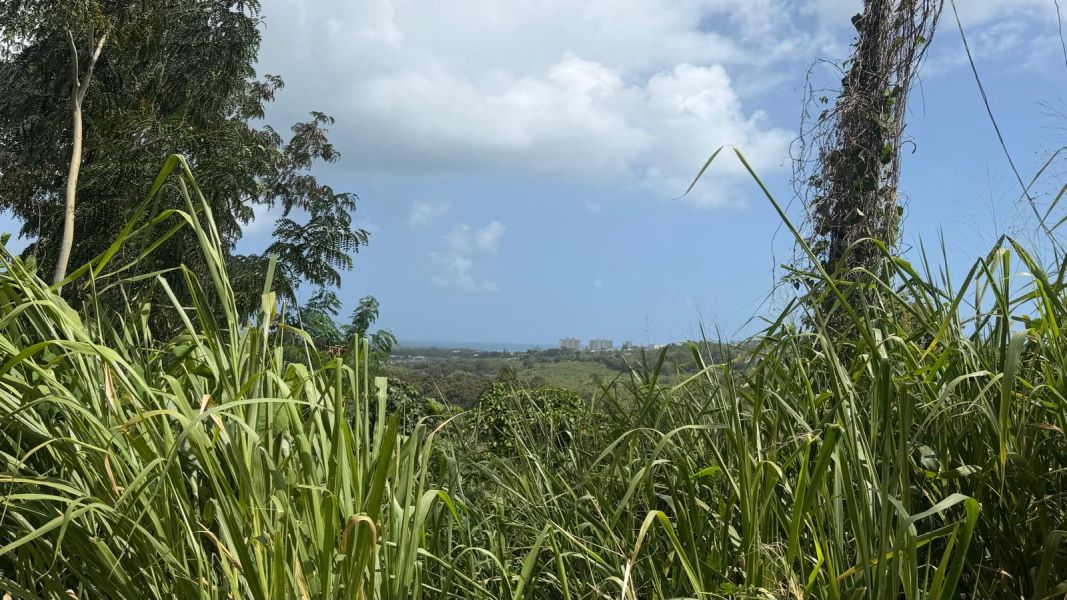 Villas De Luquillo Bo Mata De Platano Carr 991 Luquillo 00773 PR