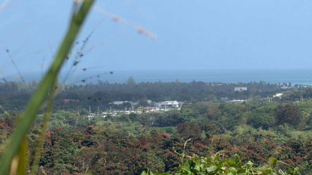 Villas De Luquillo Bo Mata De Platano Carr 991 Luquillo 00773 PR