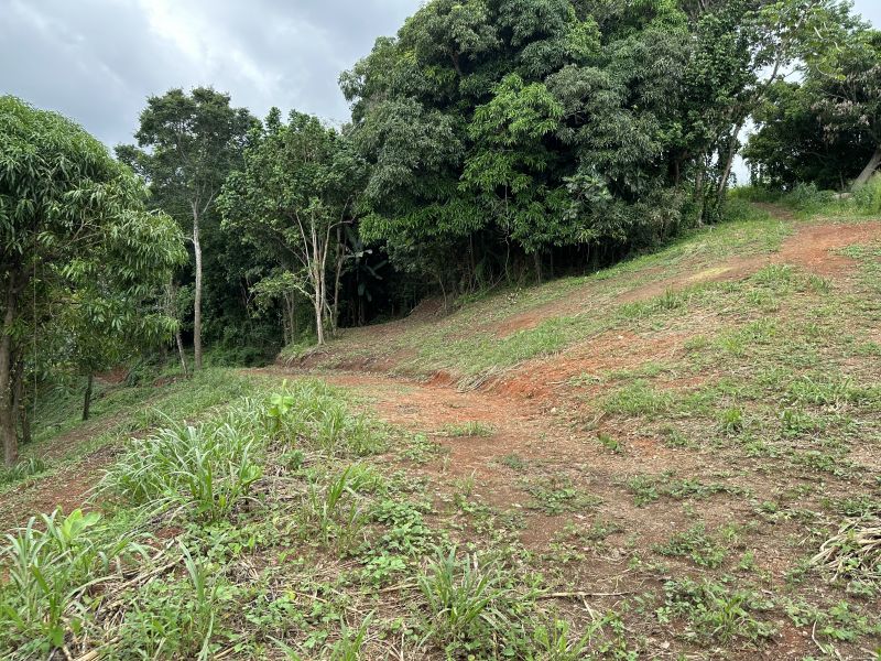 Pr 2 Km 140 Interior Bo Cerro Gordo Adjuntas 00602 PR