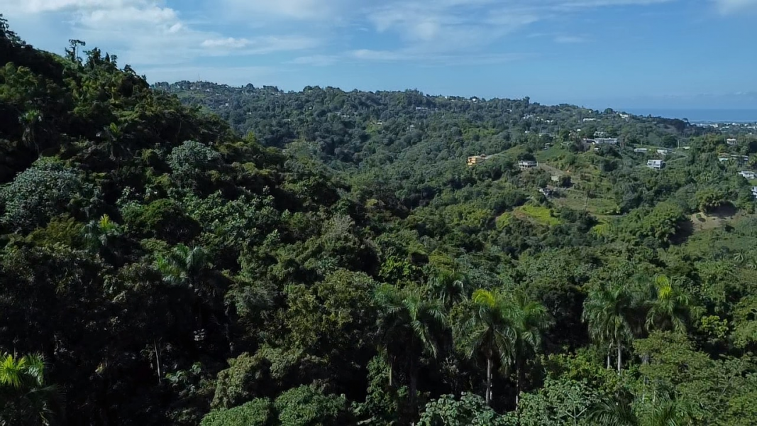 Pr 2 Km 140 Interior Bo Cerro Gordo Adjuntas 00602 PR