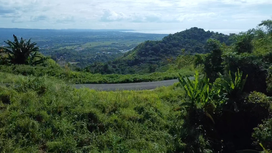 Pr 2 Km 140 Interior Bo Cerro Gordo Adjuntas 00602 PR