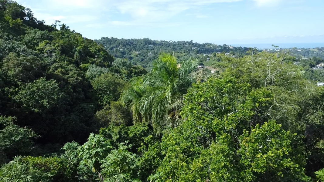 Pr 2 Km 140 Interior Bo Cerro Gordo Adjuntas 00602 PR