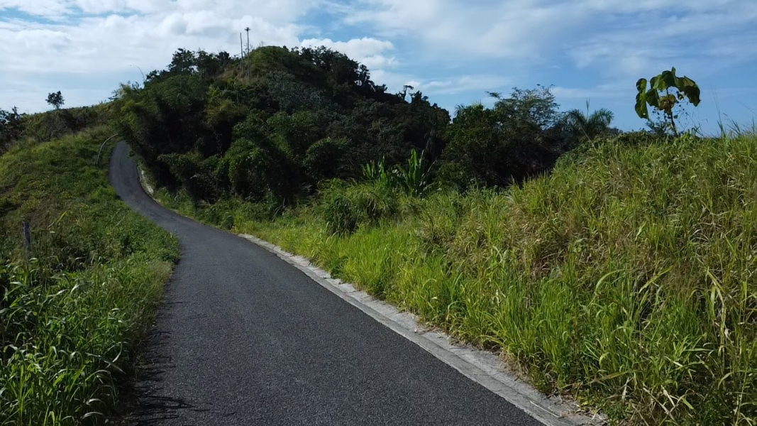 Pr 2 Km 140 Interior Bo Cerro Gordo Adjuntas 00602 PR