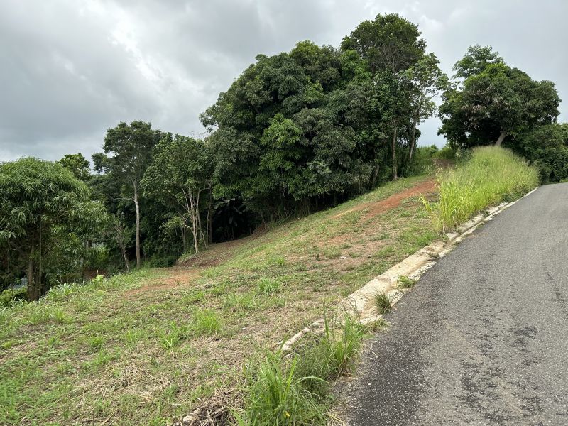 Pr 2 Km 140 Interior Bo Cerro Gordo Adjuntas 00602 PR