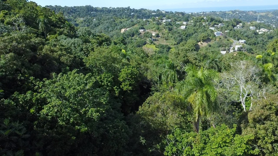 Pr 2 Km 140 Interior Bo Cerro Gordo Adjuntas 00602 PR