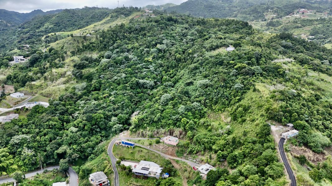 Carr 155 Km 26.0 Bo Saltos Orocovis 00720 PR