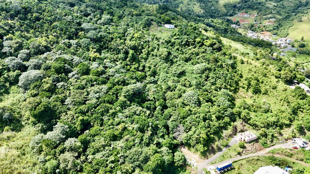 Carr 155 Km 26.0 Bo Saltos Orocovis 00720 PR