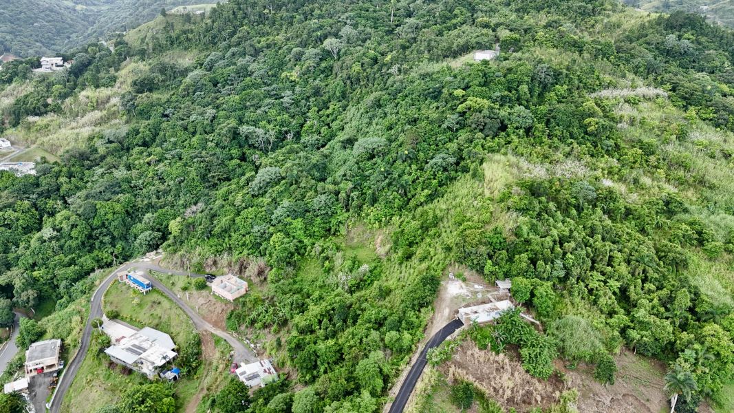Carr 155 Km 26.0 Bo Saltos Orocovis 00720 PR