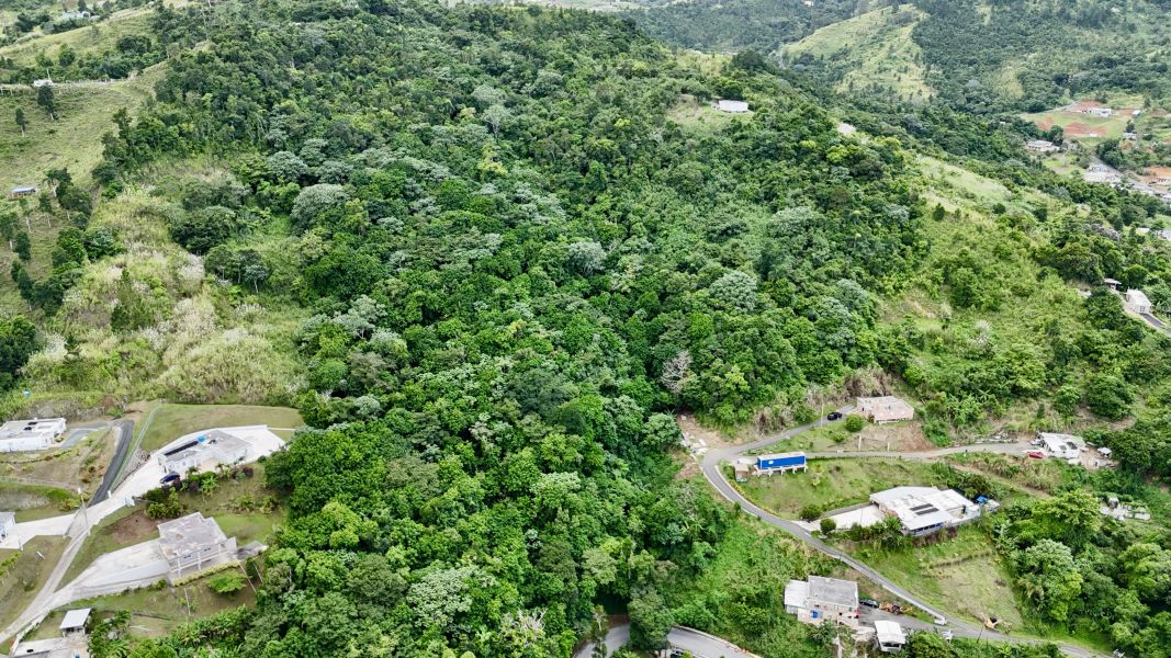 Carr 155 Km 26.0 Bo Saltos Orocovis 00720 PR