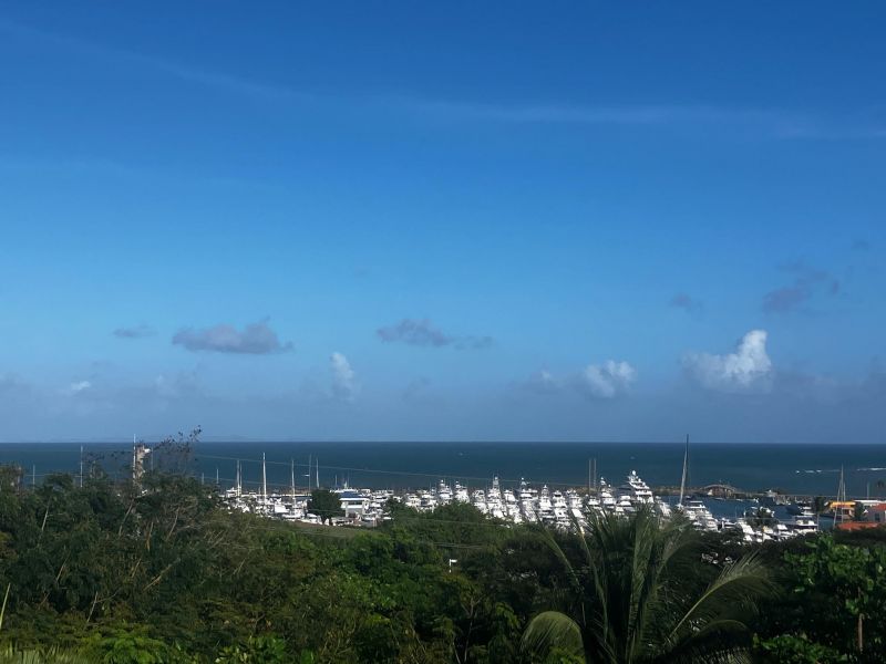 Urb Las Gaviotas Calle Ausubo A-14 Fajardo 00738 PR