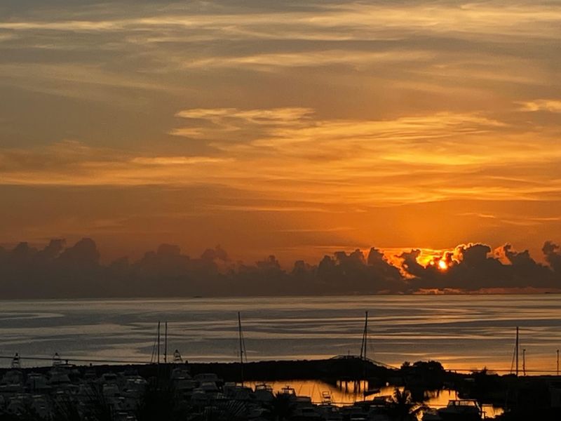 Urb Las Gaviotas Calle Ausubo A-14 Fajardo 00738 PR