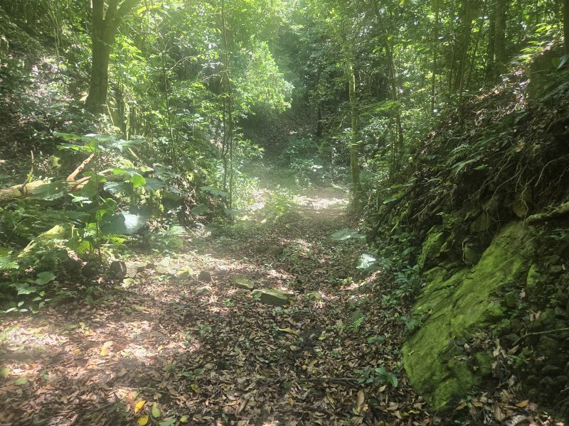 Bo Jamiel Sector Carmelitas Ponce 00731 PR