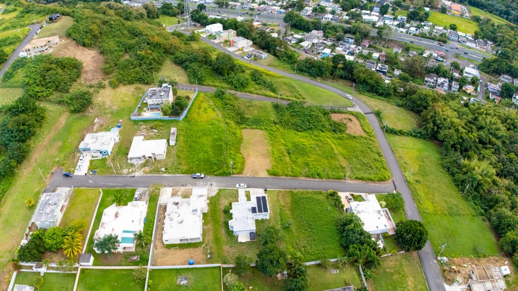 Urb Mirador De Palmer Calle 4 Solar #80 Rio Grande 00745 PR