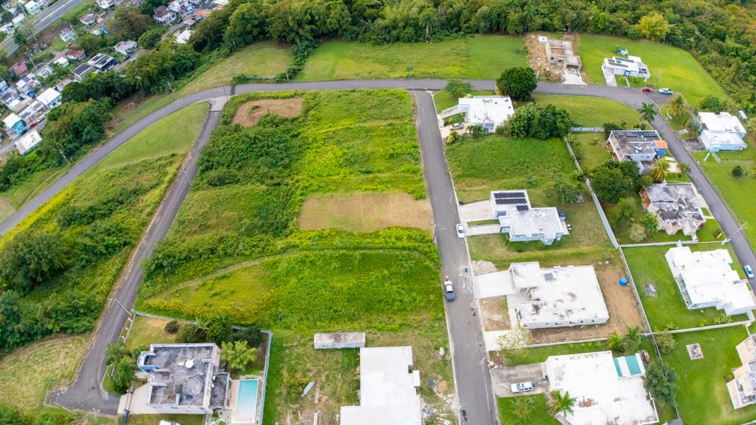 Urb Mirador De Palmer Calle 4 Solar #80 Rio Grande 00745 PR