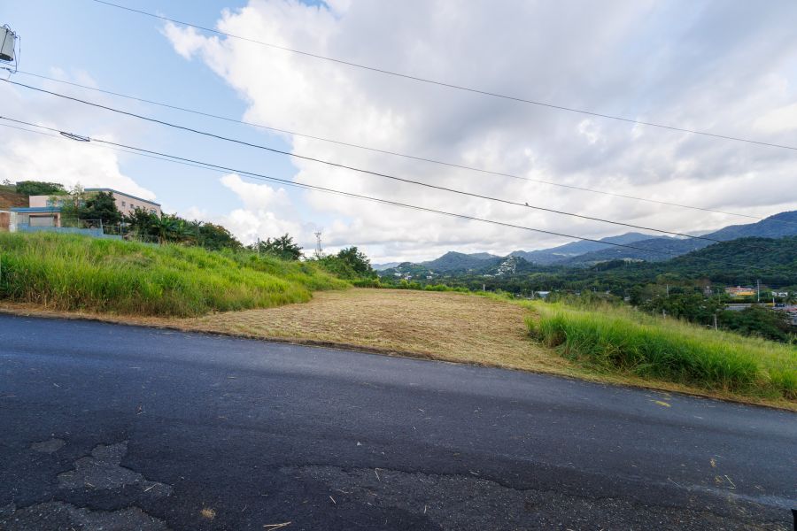 Urb Mirador De Palmer Calle 4 Solar #80 Rio Grande 00745 PR