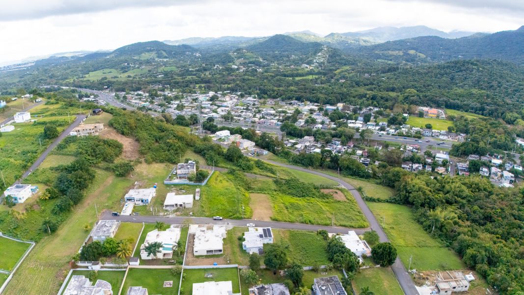 Urb Mirador De Palmer Calle 4 Solar #80 Rio Grande 00745 PR