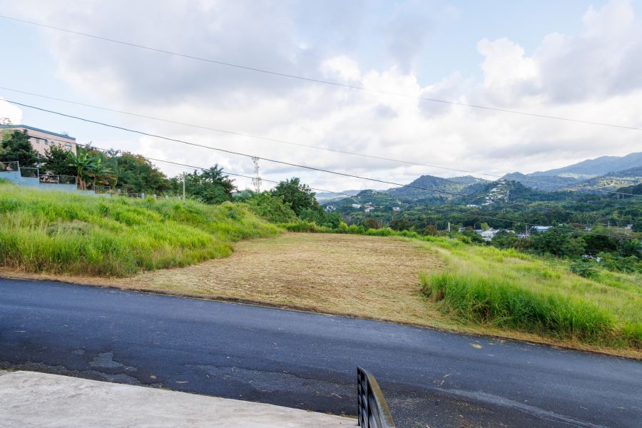 Urb Mirador De Palmer Calle 4 Solar #80 Rio Grande 00745 PR