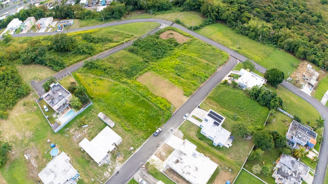 Urb Mirador De Palmer Calle 4 Solar #80 Rio Grande 00745 PR