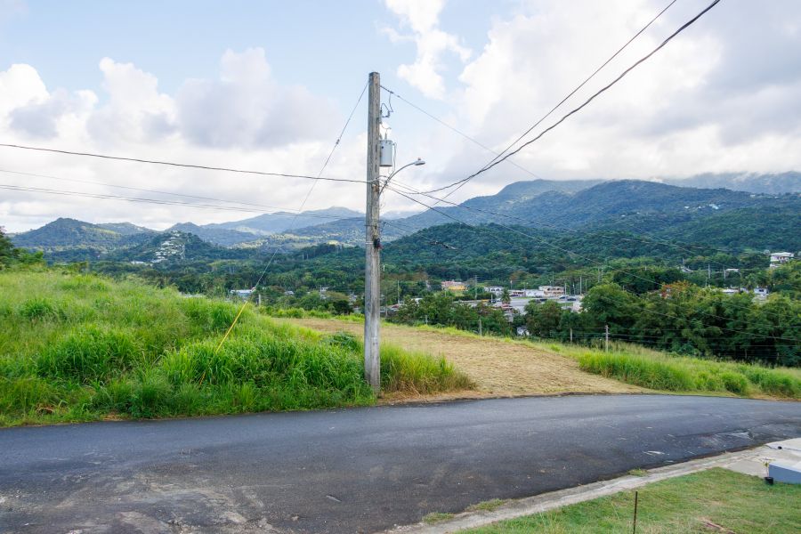 Urb Mirador De Palmer Calle 4 Solar #80 Rio Grande 00745 PR