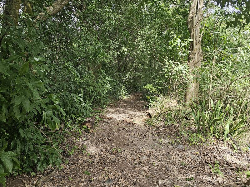 298 Calle Calandria Comm Lajas Arriba Lajas 00646 PR