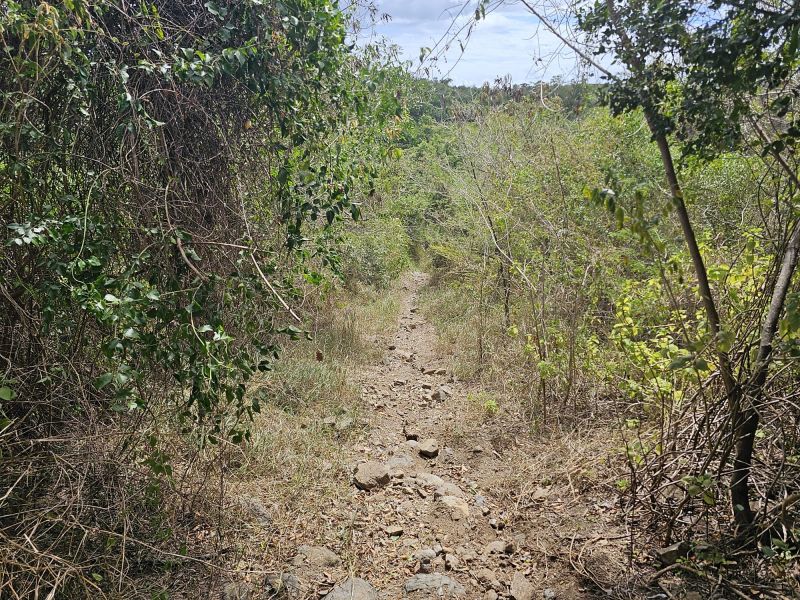 298 Calle Calandria Comm Lajas Arriba Lajas 00646 PR