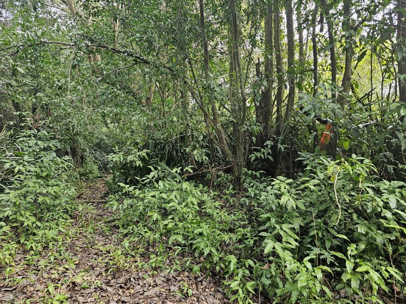 298 Calle Calandria Comm Lajas Arriba Lajas 00646 PR