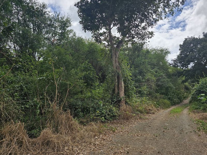 298 Calle Calandria Comm Lajas Arriba Lajas 00646 PR