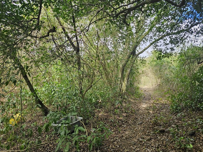 298 Calle Calandria Comm Lajas Arriba Lajas 00646 PR