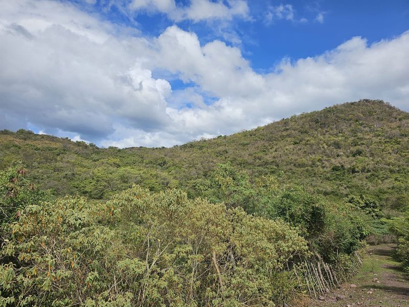 298 Calle Calandria Comm Lajas Arriba Lajas 00646 PR