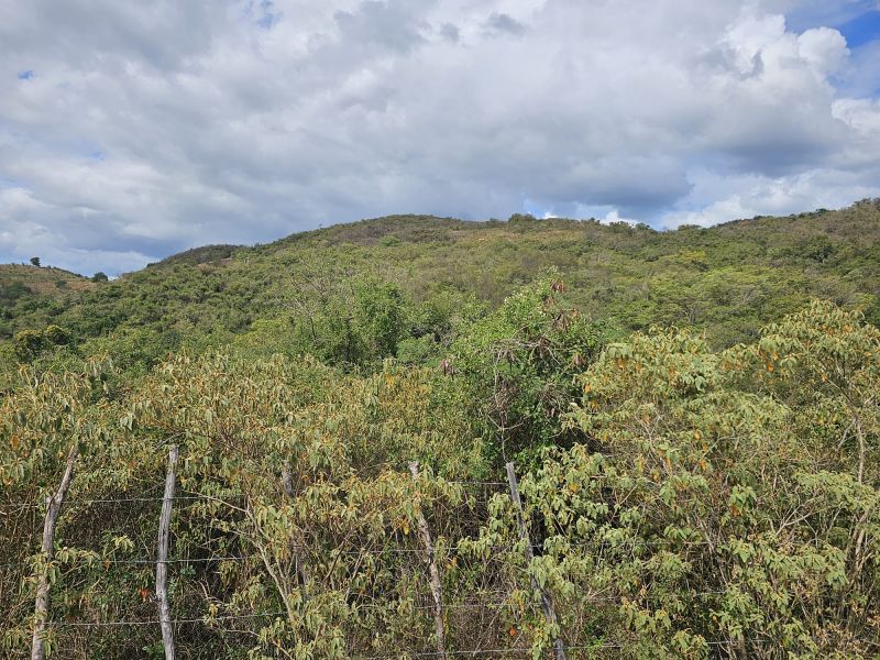 298 Calle Calandria Comm Lajas Arriba Lajas 00646 PR